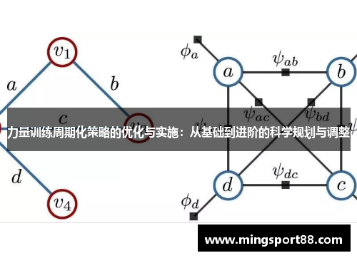 力量训练周期化策略的优化与实施：从基础到进阶的科学规划与调整