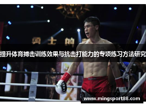 提升体育搏击训练效果与抗击打能力的专项练习方法研究