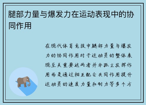 腿部力量与爆发力在运动表现中的协同作用